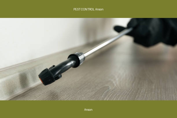 PEST CONTROL Anson